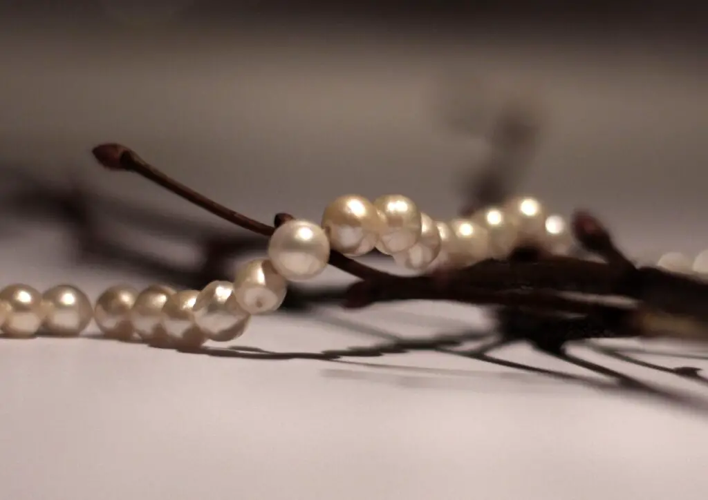 pearl, chaplet, beauty, woman, romance, bijouterie, decoration, pearl, pearl, pearl, pearl, pearl, bijouterie, bijouterie