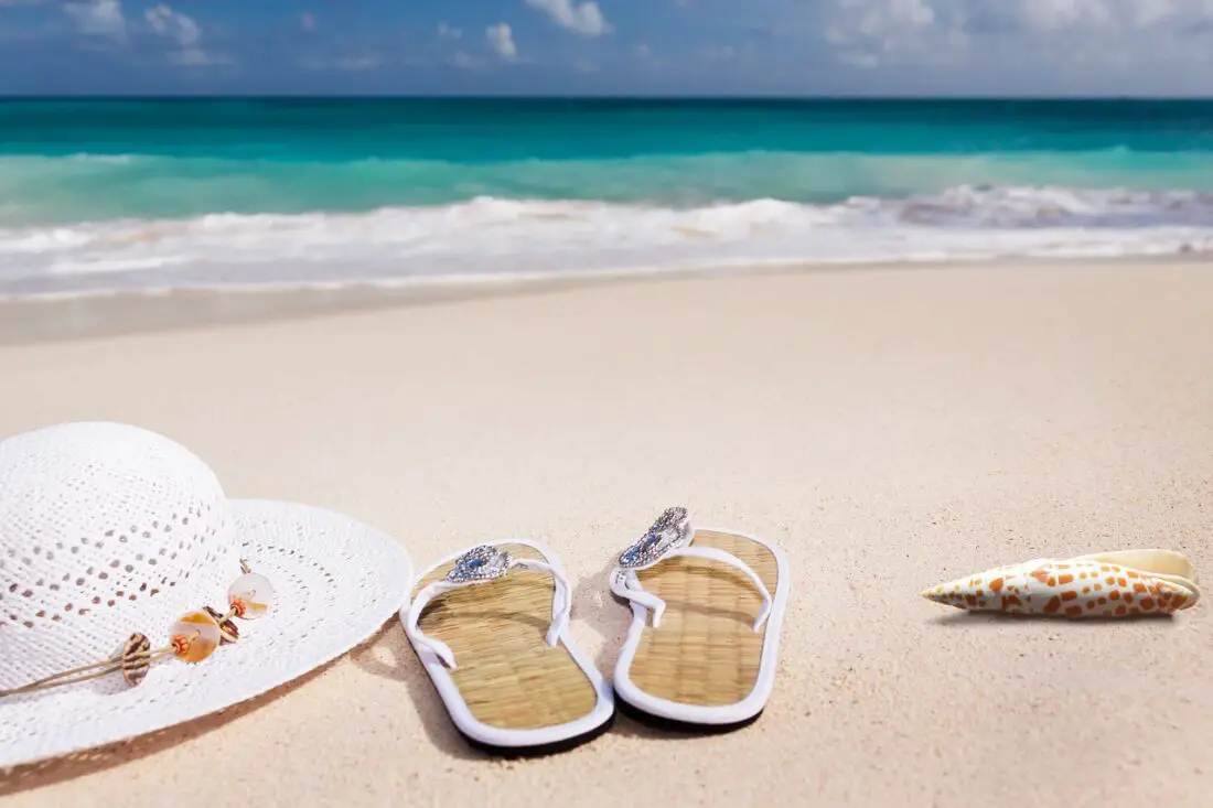 beach, sand, sea, nature, sandy beach, vacations, caribbean, coast, summer, coneflower, flip-flop, shell