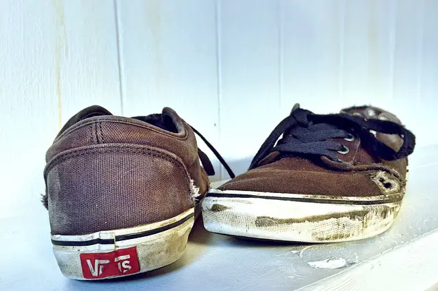 shoes, skate, worn, lifestyle